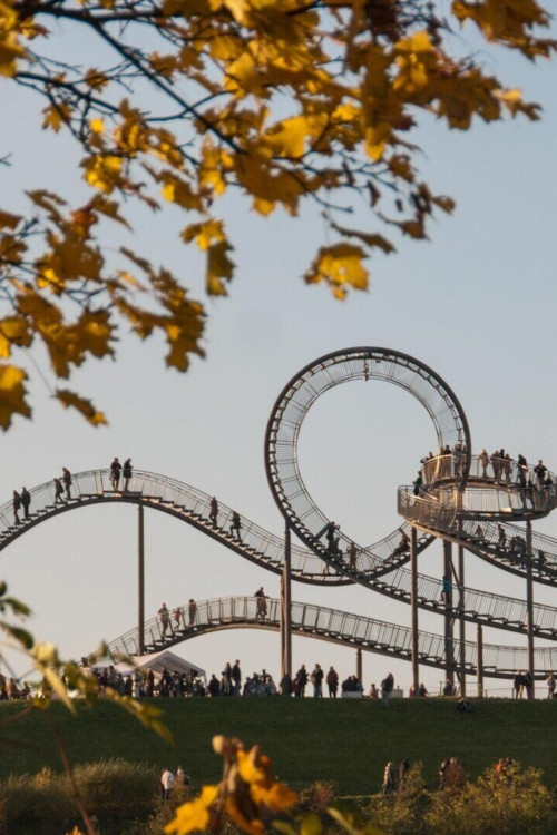 1756457117_1_Tiger_u_Turtle01