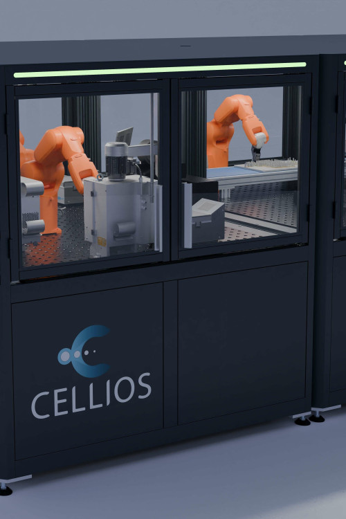 1746026243_Zellen-Visualisierung_jpg_klein