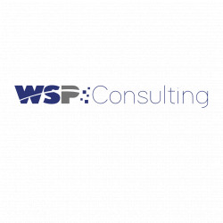 WSP-Consulting GmbH