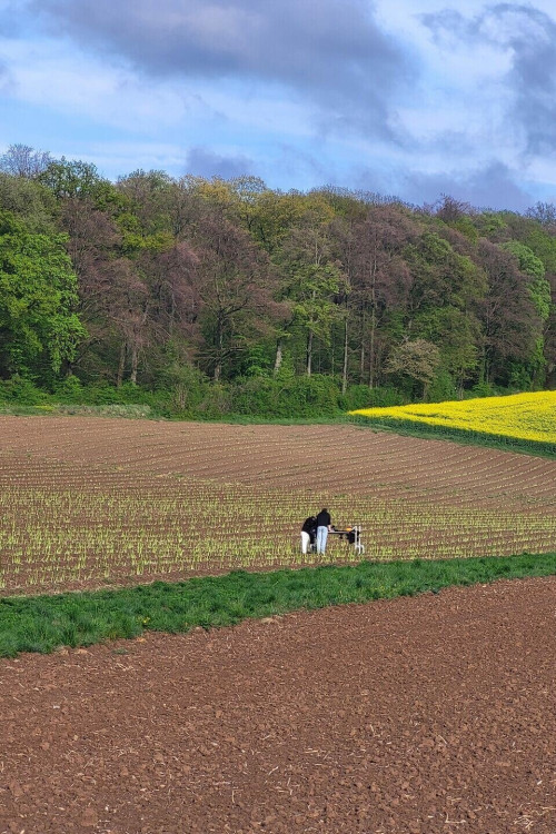 1746458102_20250415_173455_(1)