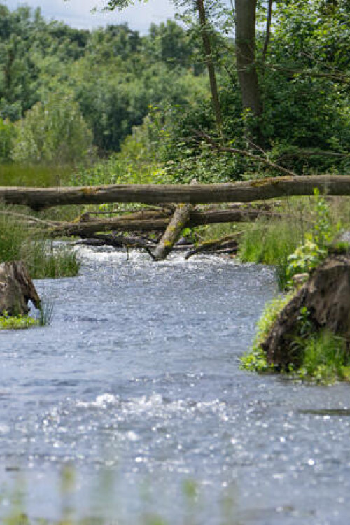 1756271825_GL_004_Niers_Bresgespark