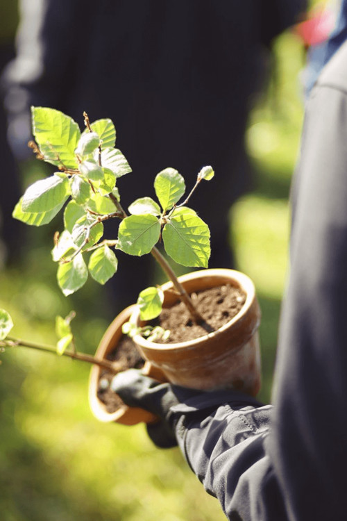 1756291217_Bildschirmfoto_2024-08-16_um_11_21_12_(1)