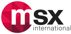 MSX International